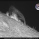 Illustration for article titled NASA Spots A Huge Gash Across The Surface Of The Sun